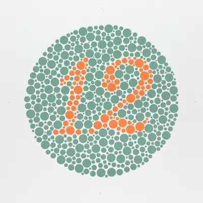 Ishihara Plate